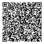 QR Code 1